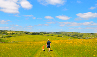 Scenic Dog Walk